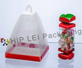 Transparent Plastic Box