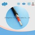 Series 8000 aluminum alloy concentric cable