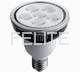 10W PAR30 LED Lamp