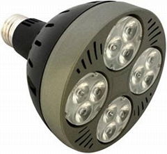 35W LED PAR30 BULB