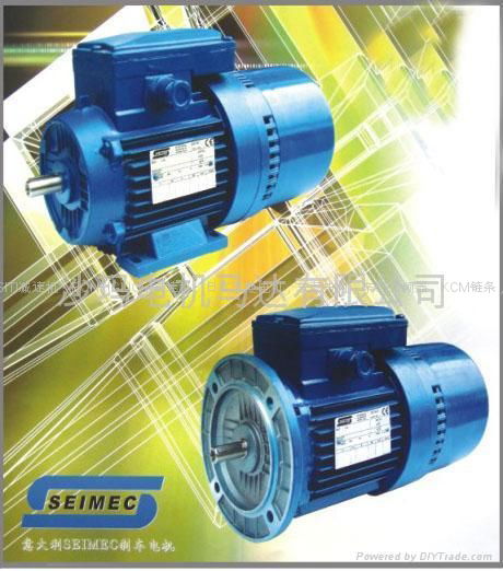 意大利SEIMEC剎車電機 5