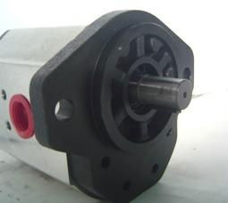 group 5AI gear pump Hydraulic gear pump single gear pump 2