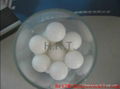 0.5mm-20mm Plastic Ball- POM/PE/PP/PTFE 