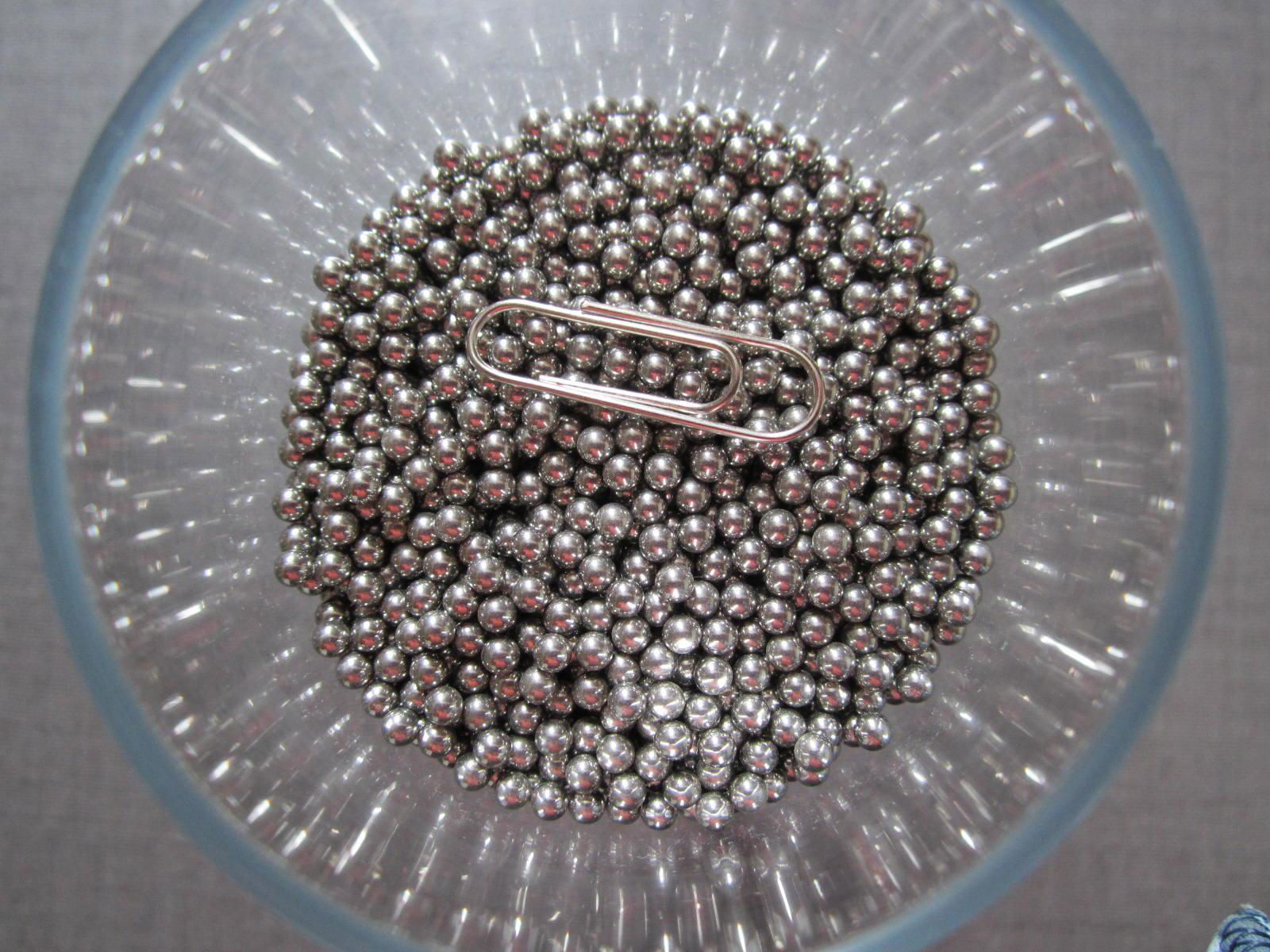 316 Stainless Steel Ball 3