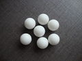 0.5mm-20mm Plastic Ball- POM/PE/PP/PTFE 