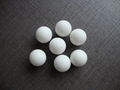 0.5mm-25.4mm 塑料球- POM/PE/PP/PTFE 