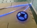 led strip light  5