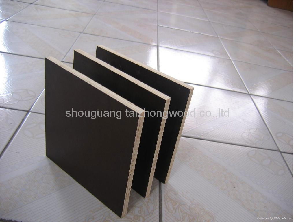 9-30mm High Quality Film Faced Plywood 2