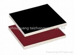 Film Faced Plywood Sheet With High Qultiy