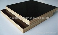 9-30mm High Quality Film Faced Plywood