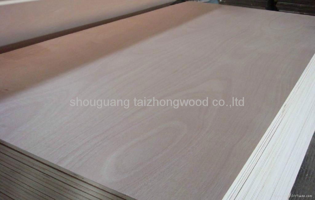 4-40mm Commercial Plywood Sheet 