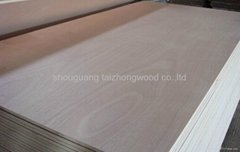 4-40mm Commercial Plywood Sheet