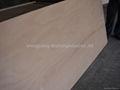 4-40mm Commercial Plywood Sheet  2