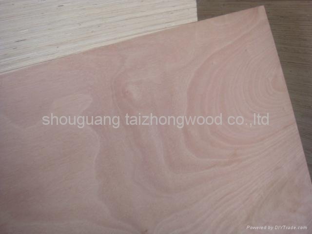 4-40mm Commercial Plywood Sheet  3