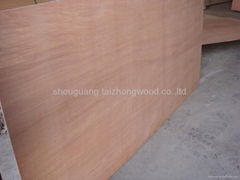 Keruing Plywood Sheet With High Quality