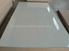 High Quality HPL Poplar Core Plywood