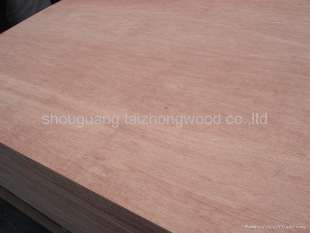 Red-Mixed Packing Plywood 3
