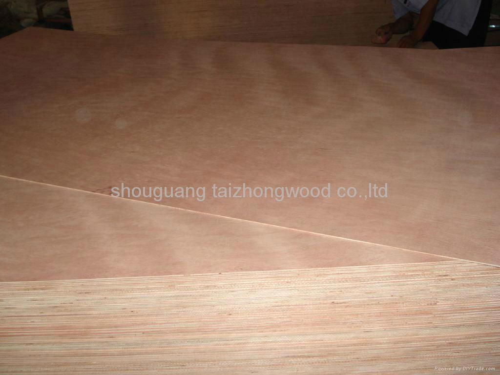 Red-Mixed Packing Plywood 4