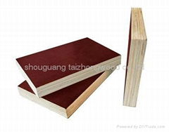 Red Film Faed Plywood