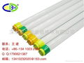 China LED daylight tube