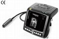 wrist vet ultrasound scanner