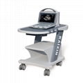 DCU12 Veterinary Color Doppler System 2