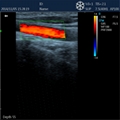 DCU12 Veterinary Color Doppler System