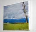 Digital printing canvas roll 1