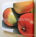 Digital printing canvas roll 2