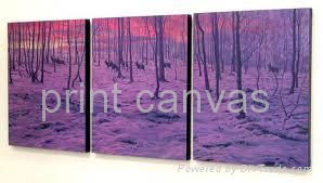 220g canvas for digital printing