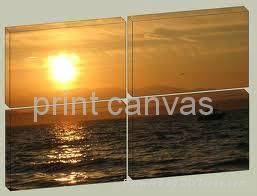 220g canvas for digital printing 2