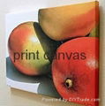 Waterproof canvas material for printing  5