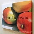 Waterproof canvas material for printing 