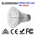 PAR20 LED Light Bulb