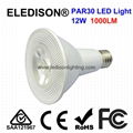 LED PAR30 Light