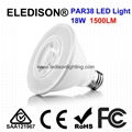 LED Light Bulb PAR38