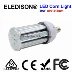 30W Courtyard LED Light Bulb E27 Commercial Wall Pack Street Warehouse Lighting