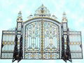 wrought iron gate(HT-G1001)