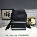               Damier Graphite Canvas Cowhide  leather Men backpack     ags 15