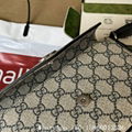      Phidia mini bag,      crossbody bags for women,      GG         canvas bag 6