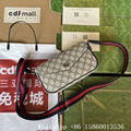       Phidia mini bag,      crossbody bags for women,      GG         canvas bag 1