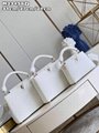 Louis Vuitton Capucines Mini Taurillon bag,LV capucines price,M48865