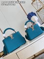 Louis Vuitton Capucines Mini Taurillon bag,LV capucines price,M48865