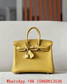 Hermes Togo Birkin 25 bag,Hermes Birkin bags,Luxury Hermes Birkin 25 black gold 