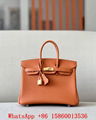 Hermes Togo Birkin 25 bag,Hermes Birkin bags,Luxury Hermes Birkin 25 black gold 