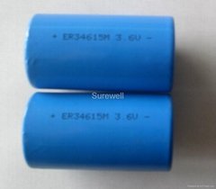ER34615 19AH size D lithium battery, LiSOCl2 battery 3.6V