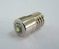 LED Flashlight Bulbs-3 Watt