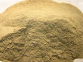 Seaweed  Powder with High Quality