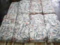 Frozen Fish Skin with High Quality 3