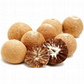 Dried Betel Nuts with High Quality 1